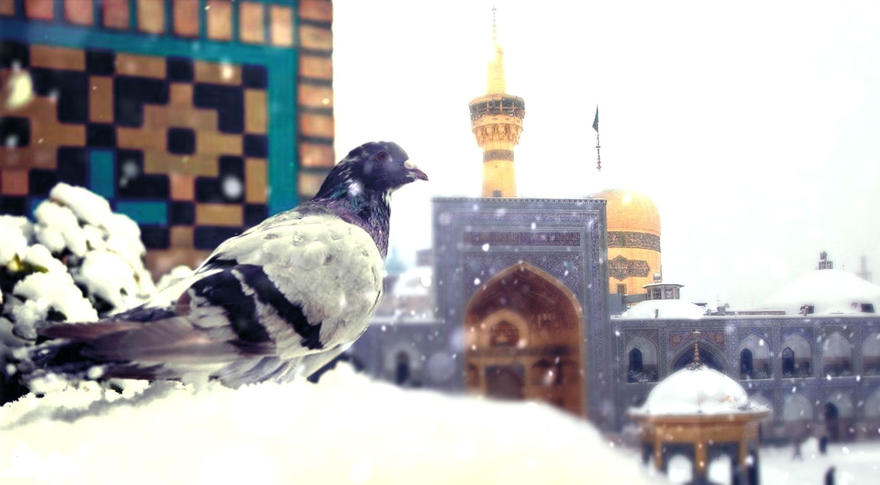 جاذبه های گردشگری مشهد در زمستان