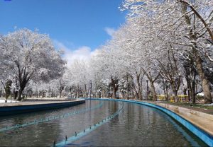 پارک ملت مشهد در زمستان