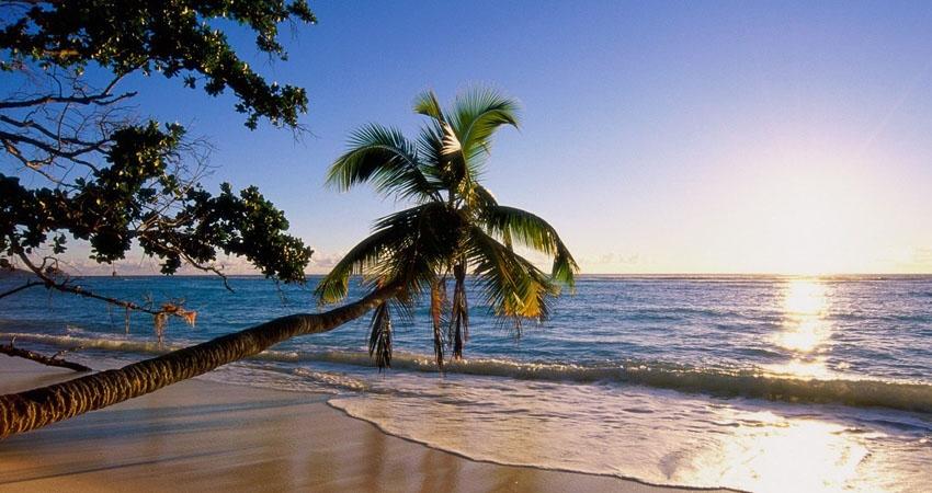 ساحل درختان نارگیل کیش ؛ محبوب ترین ساحل جزیره