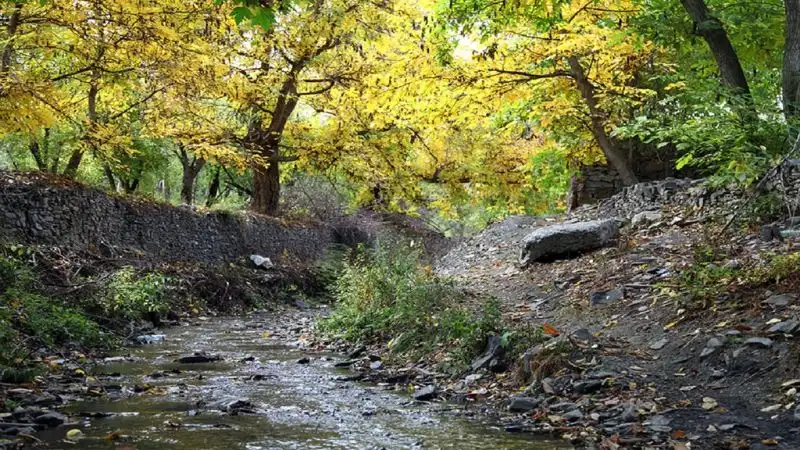 دره ارغوان مشهد؛ طبیعت‌گردی در بنفش‌ترین طبیعت خراسان