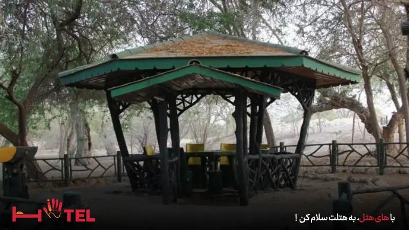امکانات رفاهی مجموعه درخت سبز کیش