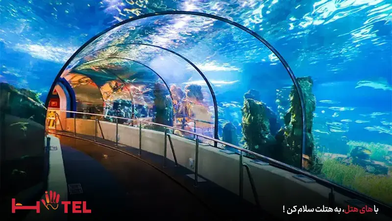 آکواریوم کیش