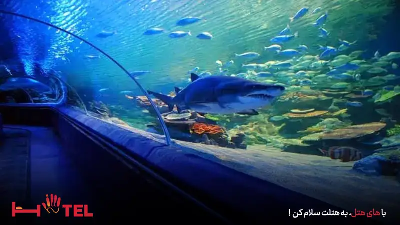 ساعات کاری آکواریوم کیش