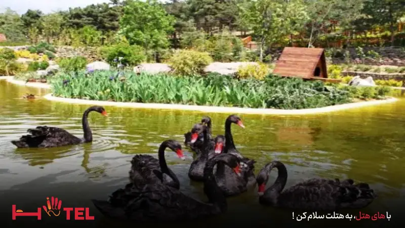  باغ پرندگان سپاد مشهد