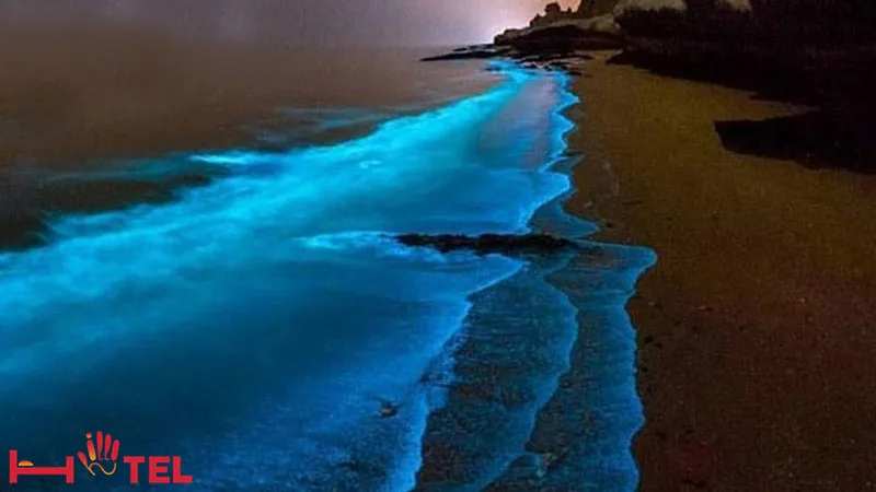ساحل شب تاب چابهار، ساحل نورانی خلیج فارس