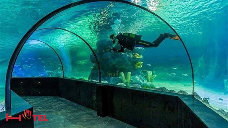 تونل آکواریوم اصفهان: ارتباط با جهان زیردریایی در مرکز شهر