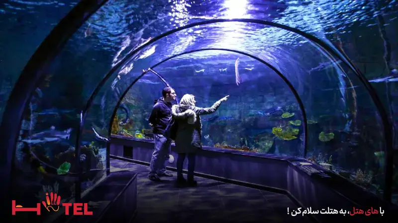 آکواریوم میکامال کیش