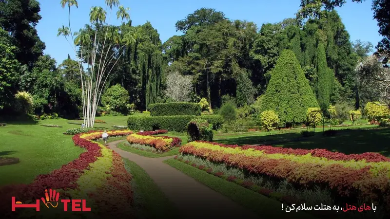 باغ گیاه شناسی تهران