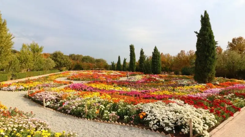 باغ گیاه شناسی تهران