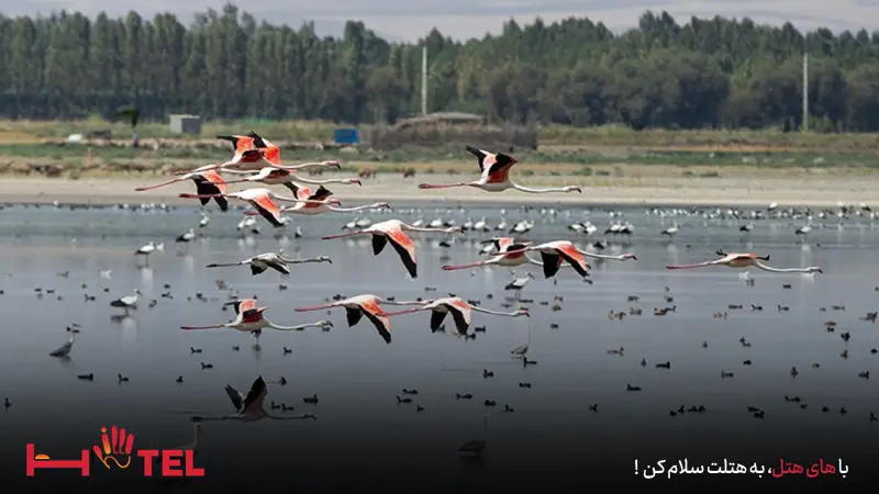 پارک ملی بختگان شیراز