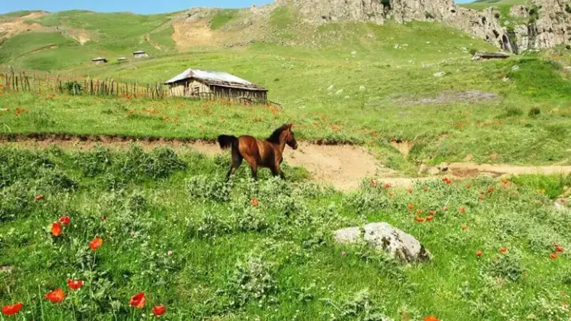 ییلاق سوباتان گیلان