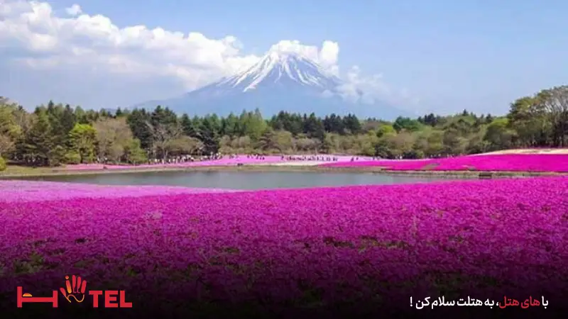 بهترین زمان سفر به کرمان در تابستان