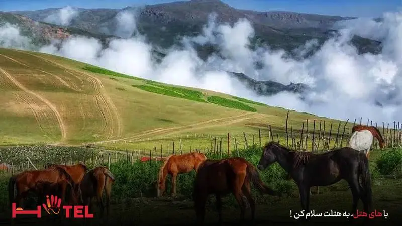 ییلاق شکر دشت سوباتان گیلان